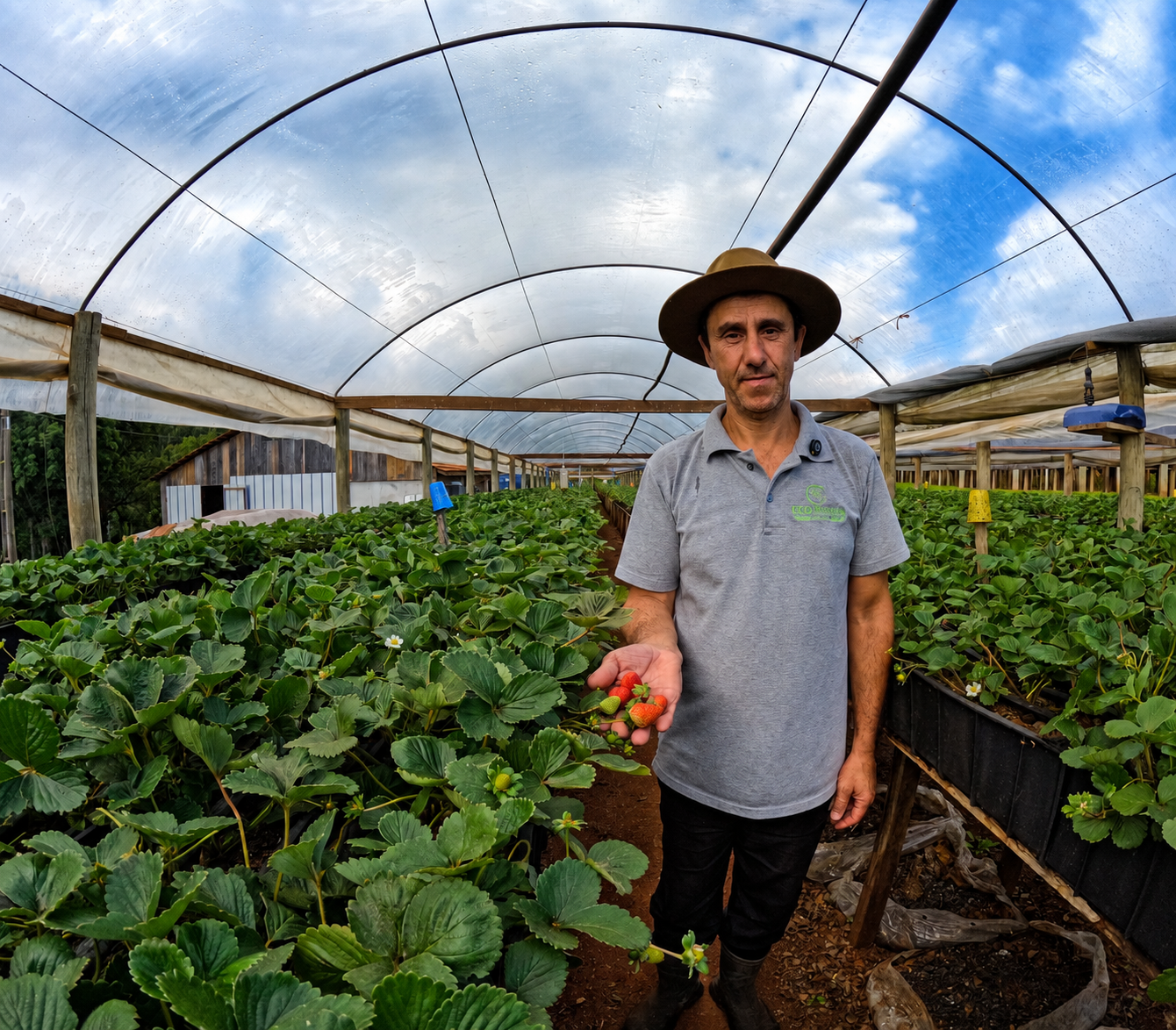 Projeto de co-inovação socioprodutiva liderada pelas famílias agricultoras nas cadeias da horticultura e da fruticultura no Brasil e no Uruguai.